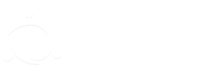 Certified Financial Planner, image of NAPFA Logo